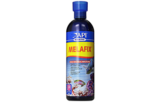Nhiễm khuẩn cá nước mặn và san hô API Marine Melafix 473ml